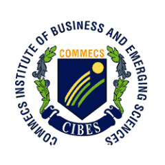 COMMECS Institute of Business and Emerging Sciences
